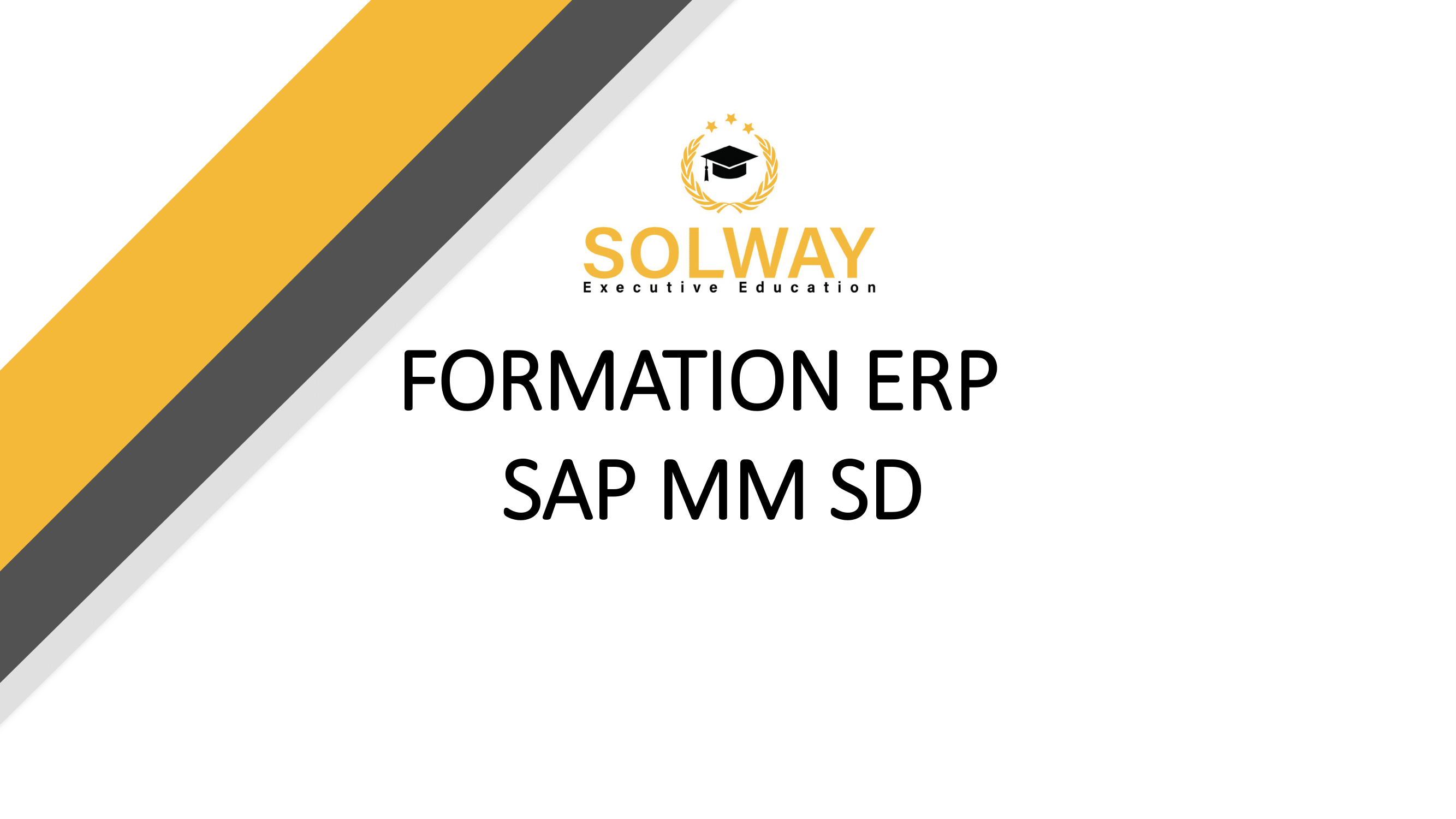 Consultant ERP SAP MM SD (achats ventes)